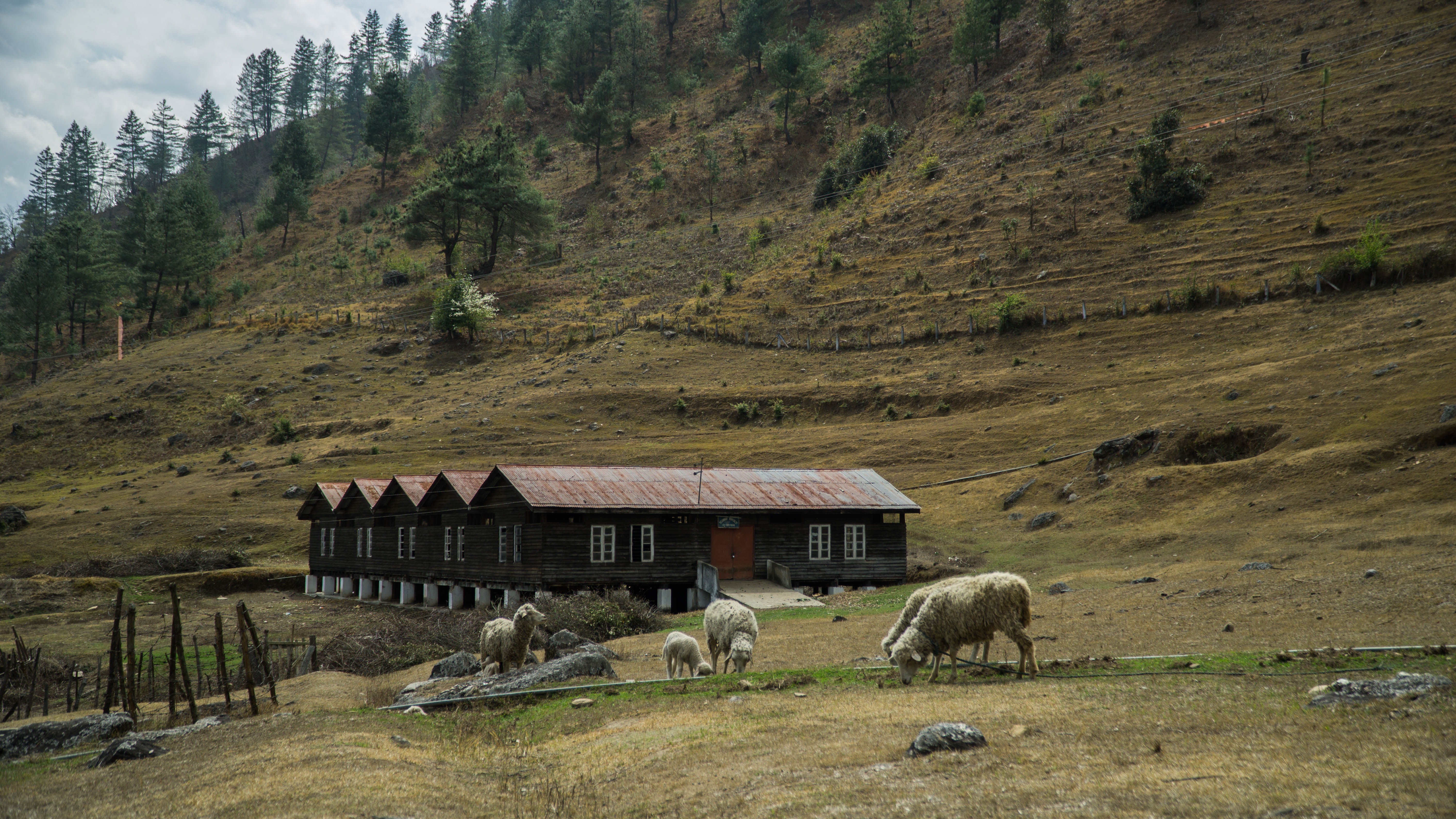 Arunachal wilderness experience